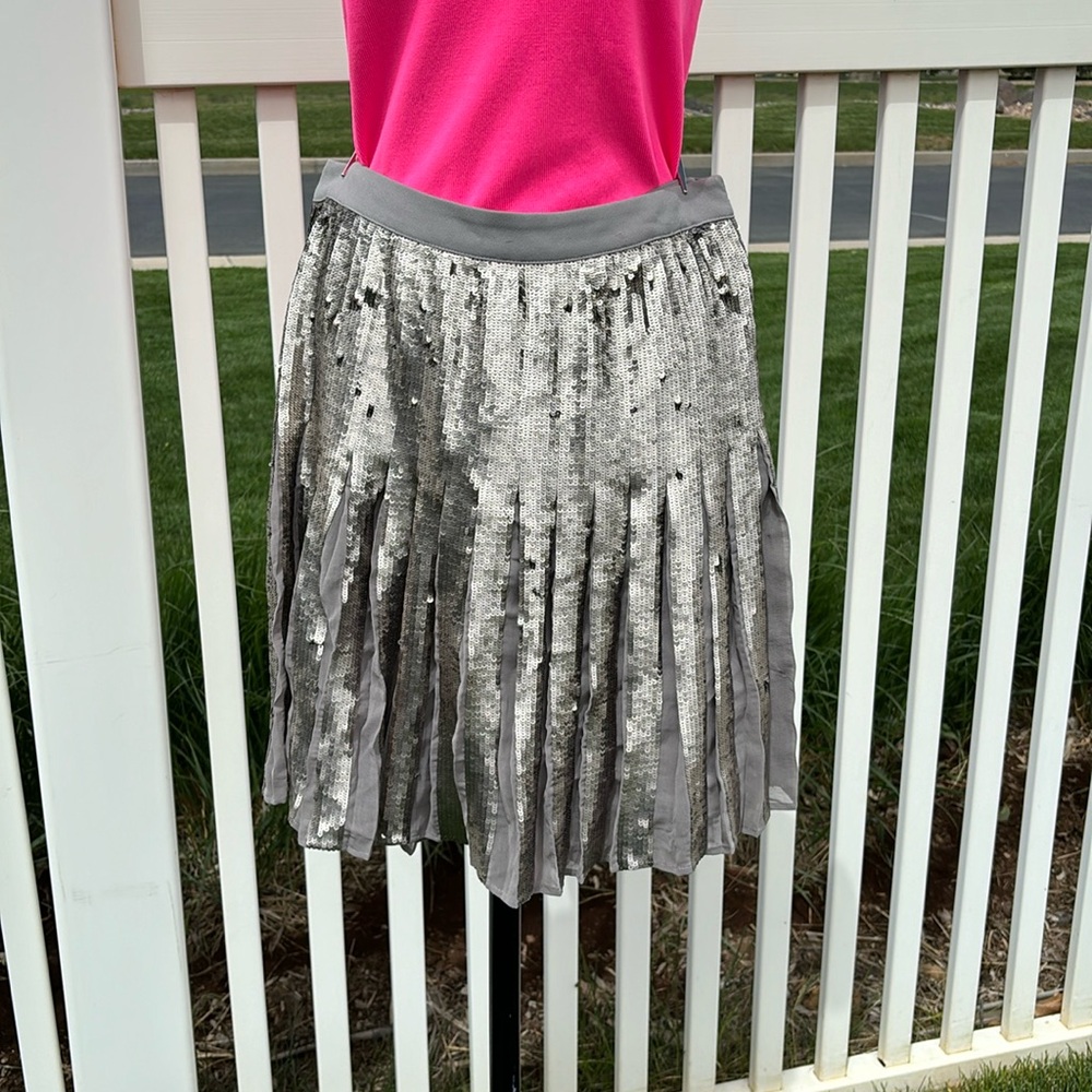 Banana Republic Silver Sequin Skirt Size 4